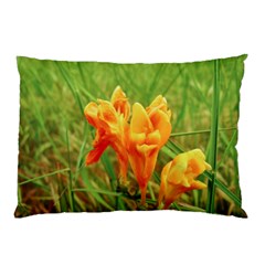 Orange On The Green Pillow Case by DimitriosArt