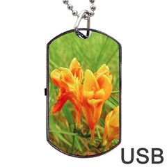 Orange On The Green Dog Tag Usb Flash (one Side) by DimitriosArt