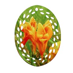 Orange On The Green Ornament (oval Filigree) by DimitriosArt