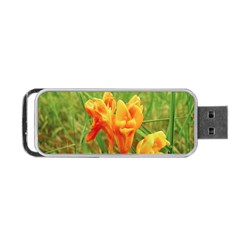 Orange On The Green Portable Usb Flash (two Sides) by DimitriosArt