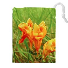 Orange On The Green Drawstring Pouch (5xl) by DimitriosArt