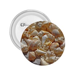 Sea-shells Bg 2 25  Buttons by SomethingForEveryone