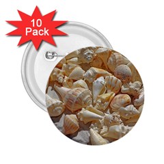 Sea-shells Bg 2 25  Buttons (10 Pack)  by SomethingForEveryone