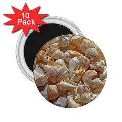 Sea-shells Bg 2 25  Magnets (10 Pack)  by SomethingForEveryone