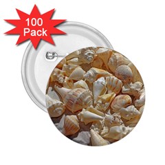 Sea-shells Bg 2 25  Buttons (100 Pack)  by SomethingForEveryone