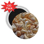 Sea-shells Bg 2.25  Magnets (100 pack)  Front