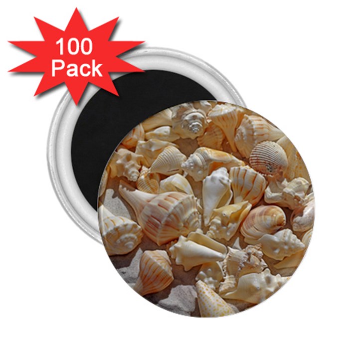 Sea-shells Bg 2.25  Magnets (100 pack) 