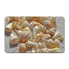 Sea-shells Bg Magnet (rectangular) by SomethingForEveryone