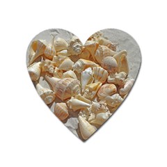 Sea-shells Bg Heart Magnet by SomethingForEveryone