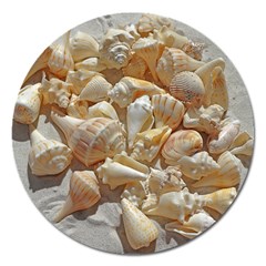 Sea-shells Bg Magnet 5  (round) by SomethingForEveryone