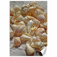 Sea-shells Bg Canvas 12  X 18  by SomethingForEveryone