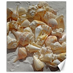 Sea-shells Bg Canvas 20  X 24 