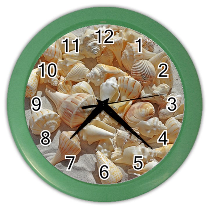 Sea-shells Bg Color Wall Clock