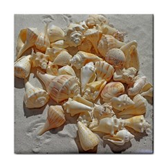 Sea-shells Bg Face Towel by SomethingForEveryone