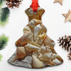 Sea-shells Bg Ornament (christmas Tree)  by SomethingForEveryone