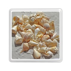 Sea-shells Bg Memory Card Reader (square) by SomethingForEveryone