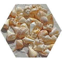 Sea-shells Bg Wooden Puzzle Hexagon by SomethingForEveryone