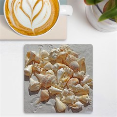 Sea-shells Bg Uv Print Square Tile Coaster  by SomethingForEveryone