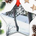 winter forest Ornament (Star) Front