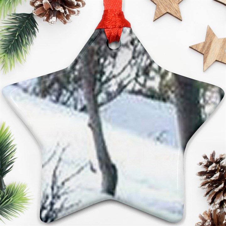 winter forest Ornament (Star)