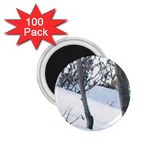 Winter Forest 1 75  Magnets (100 Pack)  by SomethingForEveryone