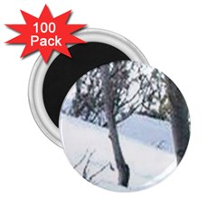 Winter Forest 2 25  Magnets (100 Pack)  by SomethingForEveryone