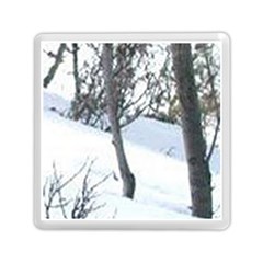 Winter Forest Memory Card Reader (square) by SomethingForEveryone