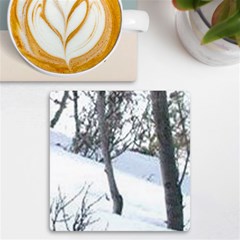 Winter Forest Uv Print Square Tile Coaster 