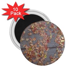 Sidewalk Leaves 2 25  Magnets (10 Pack) 