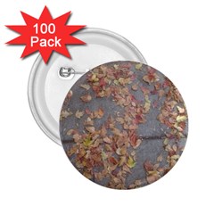 Sidewalk Leaves 2 25  Buttons (100 Pack) 