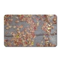 Sidewalk Leaves Magnet (rectangular)