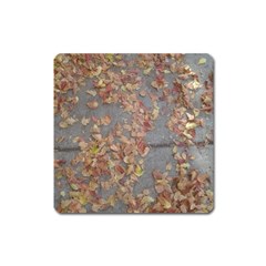 Sidewalk Leaves Square Magnet