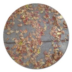 Sidewalk Leaves Magnet 5  (round)