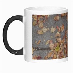 Sidewalk Leaves Morph Mugs