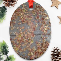 Sidewalk Leaves Oval Ornament (two Sides)