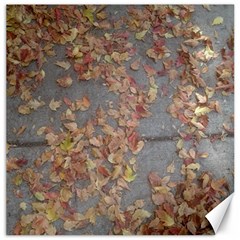 Sidewalk Leaves Canvas 12  X 12  by SomethingForEveryone