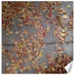 Sidewalk Leaves Canvas 20  x 20  19 x19.27  Canvas - 1