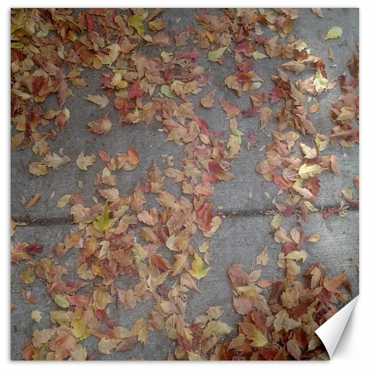 Sidewalk Leaves Canvas 20  x 20 