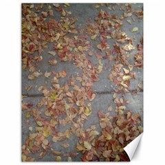 Sidewalk Leaves Canvas 18  X 24  by SomethingForEveryone