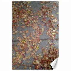 Sidewalk Leaves Canvas 20  X 30 