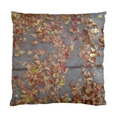 Sidewalk Leaves Standard Cushion Case (one Side)