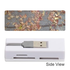 Sidewalk Leaves Memory Card Reader (stick)