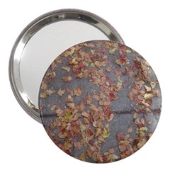 Sidewalk Leaves 3  Handbag Mirrors by SomethingForEveryone