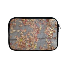 Sidewalk Leaves Apple Ipad Mini Zipper Cases