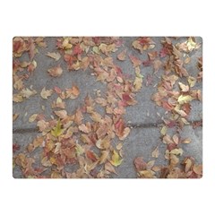 Sidewalk Leaves Double Sided Flano Blanket (mini) 