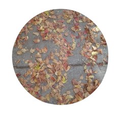 Sidewalk Leaves Mini Round Pill Box