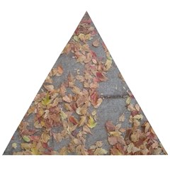 Sidewalk Leaves Wooden Puzzle Triangle