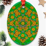 Stars Of Decorative Colorful And Peaceful  Flowers Oval Ornament (Two Sides) Front