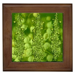 Green Fresh  Lilies Of The Valley The Return Of Happiness So Decorative Framed Tile by pepitasart