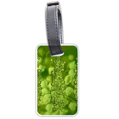 Green Fresh  Lilies Of The Valley The Return Of Happiness So Decorative Luggage Tag (one Side) by pepitasart